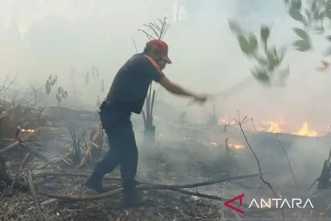 BNPB: Bakar sampah sembarangan, 5 hektare lahan di Kebumen terbakar
