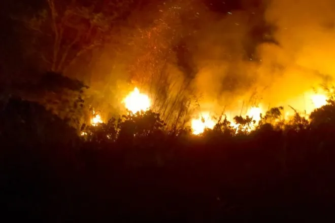 Karhutla yang sempat merambat ke lahan warga di Tojo Una-una padam