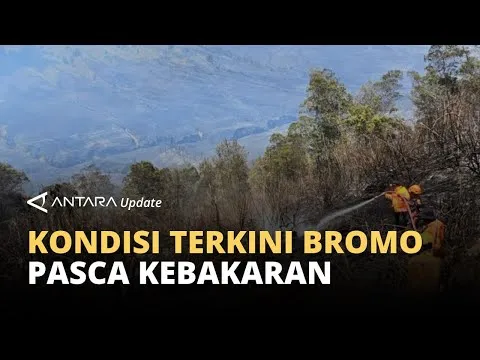 Kerja keras tim gabungan, api di kawasan Jemplang Bromo berhasil dipadamkan
