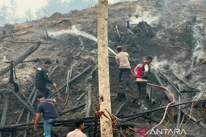 Satgas karhutla padamkan dua hektare lahan terbakar di OKU Selatan